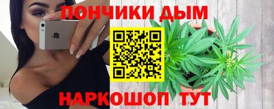 альфа пвп Заводоуковск