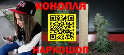 сатива Заволжье