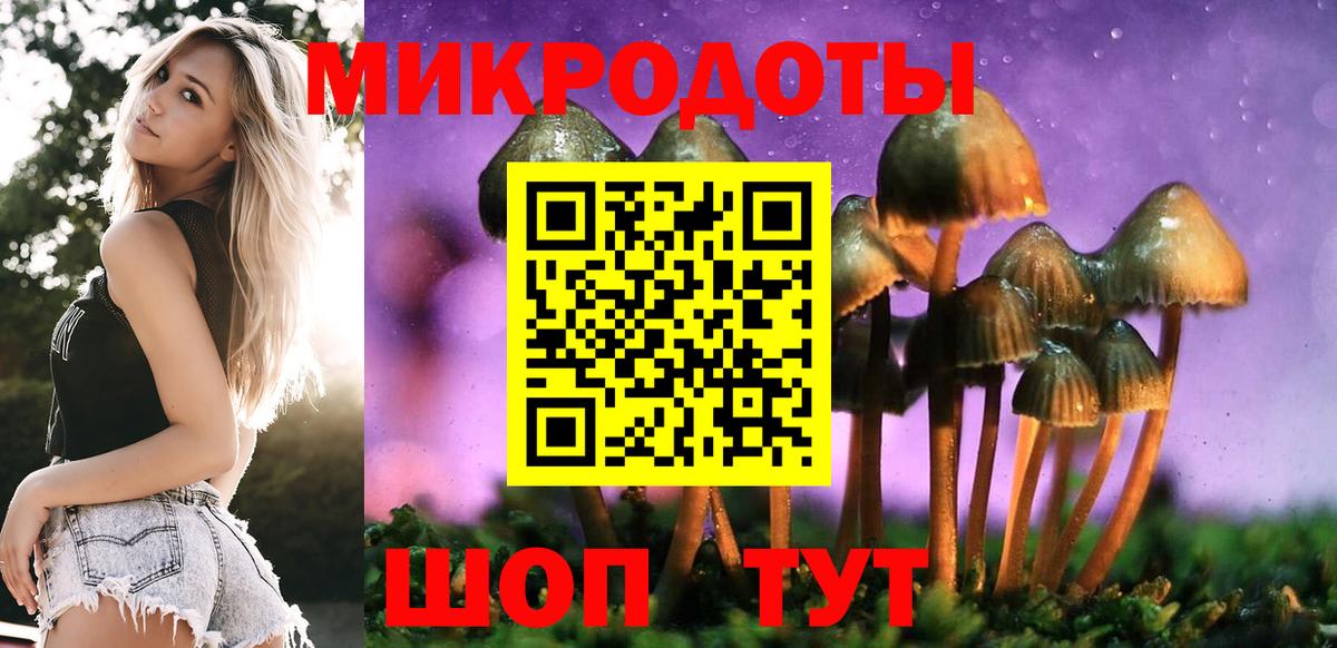 Галлюциногенные грибы ЛСД  Вход с VPN  закладка  Галлюциногенные грибы Psilocybe  Мелеуз 